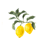 Citron